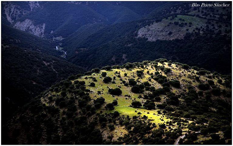 Apartamentos Turísticos Rurales Monte de las Ánimas Valdepenas de Jaen Esterno foto