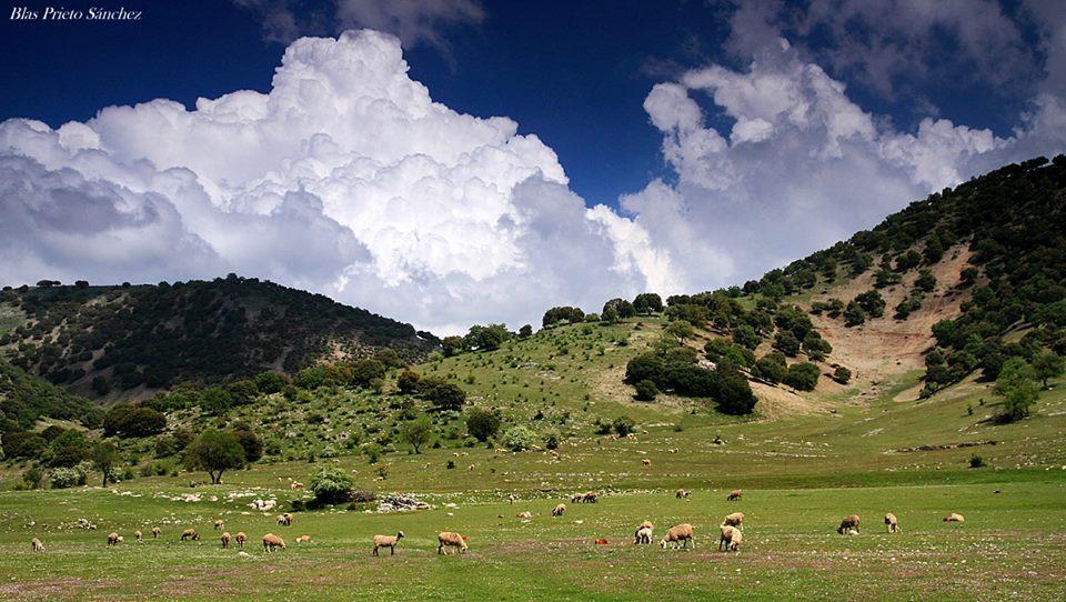 Apartamentos Turísticos Rurales Monte de las Ánimas Valdepenas de Jaen Esterno foto