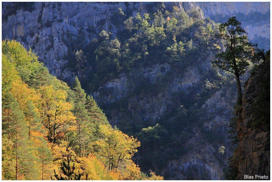 Apartamentos Turísticos Rurales Monte de las Ánimas Valdepenas de Jaen Esterno foto