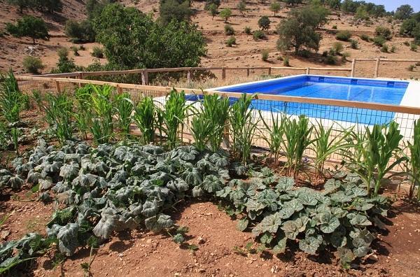Apartamentos Turísticos Rurales Monte de las Ánimas Valdepenas de Jaen Esterno foto